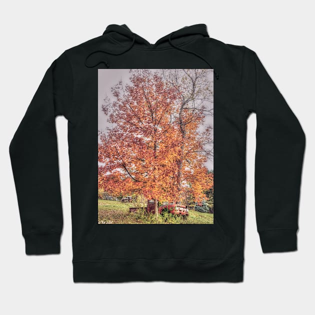 Another Autumn Hoodie by BeanME